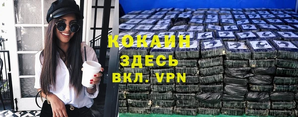 прущие грибы Губаха