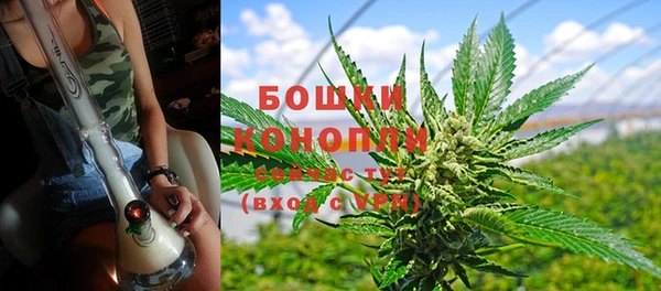 эйфоретик Вязьма